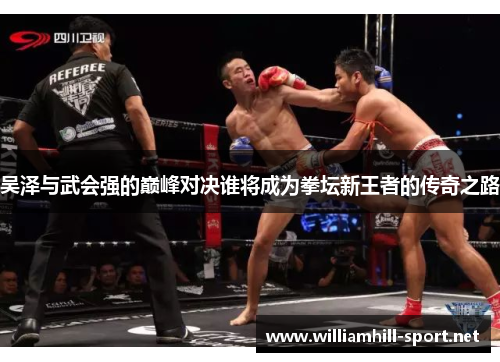 吴泽与武会强的巅峰对决谁将成为拳坛新王者的传奇之路